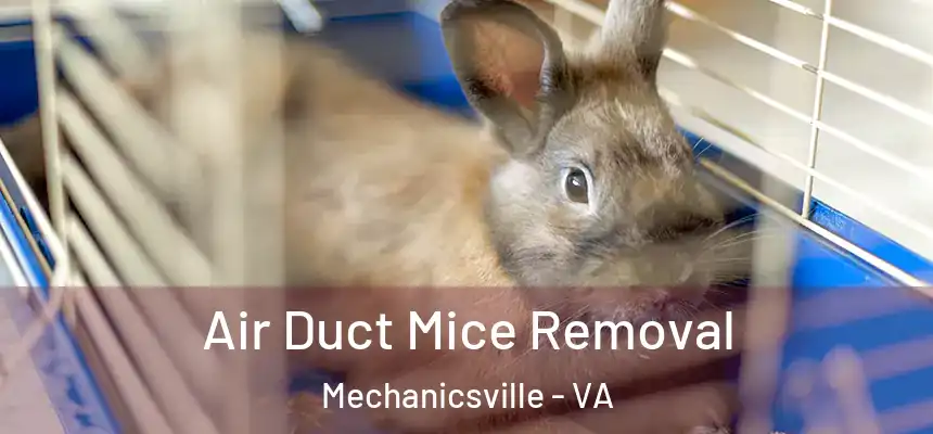 Air Duct Mice Removal Mechanicsville - VA