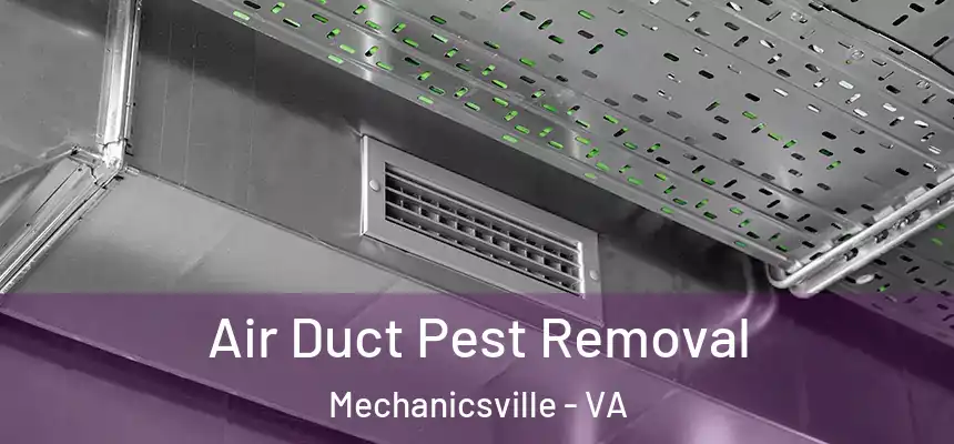 Air Duct Pest Removal Mechanicsville - VA