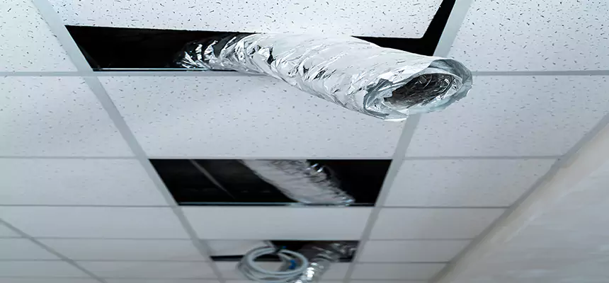 Affordable HVAC Sanitizing After Pest Removal in Mechanicsville