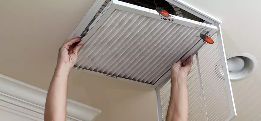 Our Insect Removal from Air Ducts Services in Mechanicsville, VA
