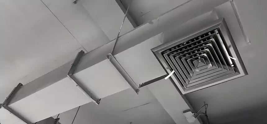 Our Rodent Droppings In Vents Services in Mechanicsville, VA