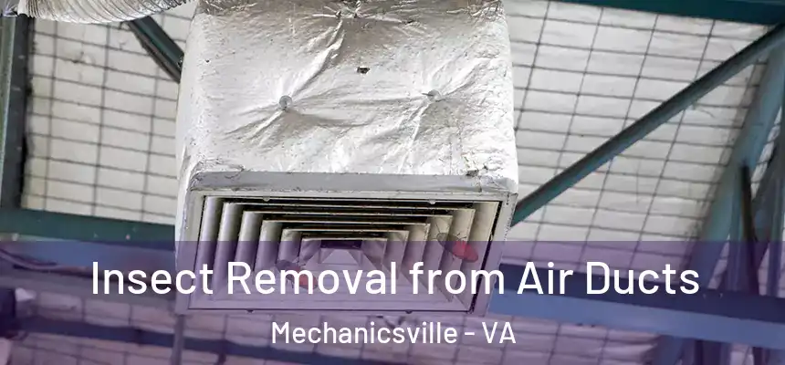 Insect Removal from Air Ducts Mechanicsville - VA