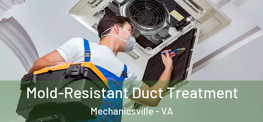  Mold-Resistant Duct Treatment Mechanicsville - VA