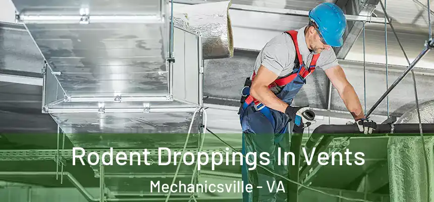  Rodent Droppings In Vents Mechanicsville - VA