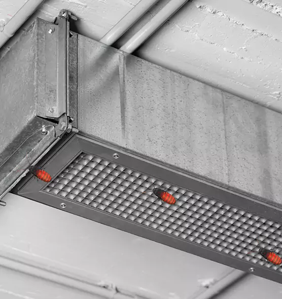 About Air Duct Cockroach Removal in Mechanicsville, VA