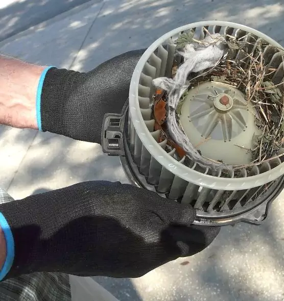 About Air Duct Rat Removal in Mechanicsville, VA