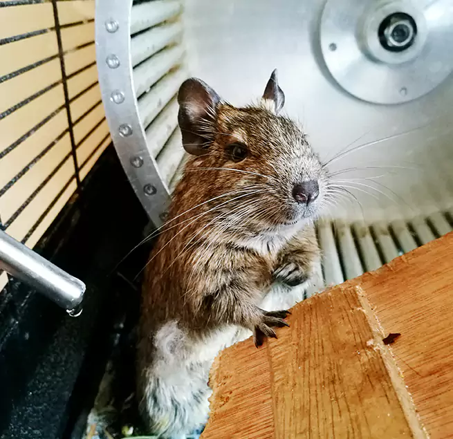 Why Homeowners & Businesses Trust Us Mechanicsville, VA